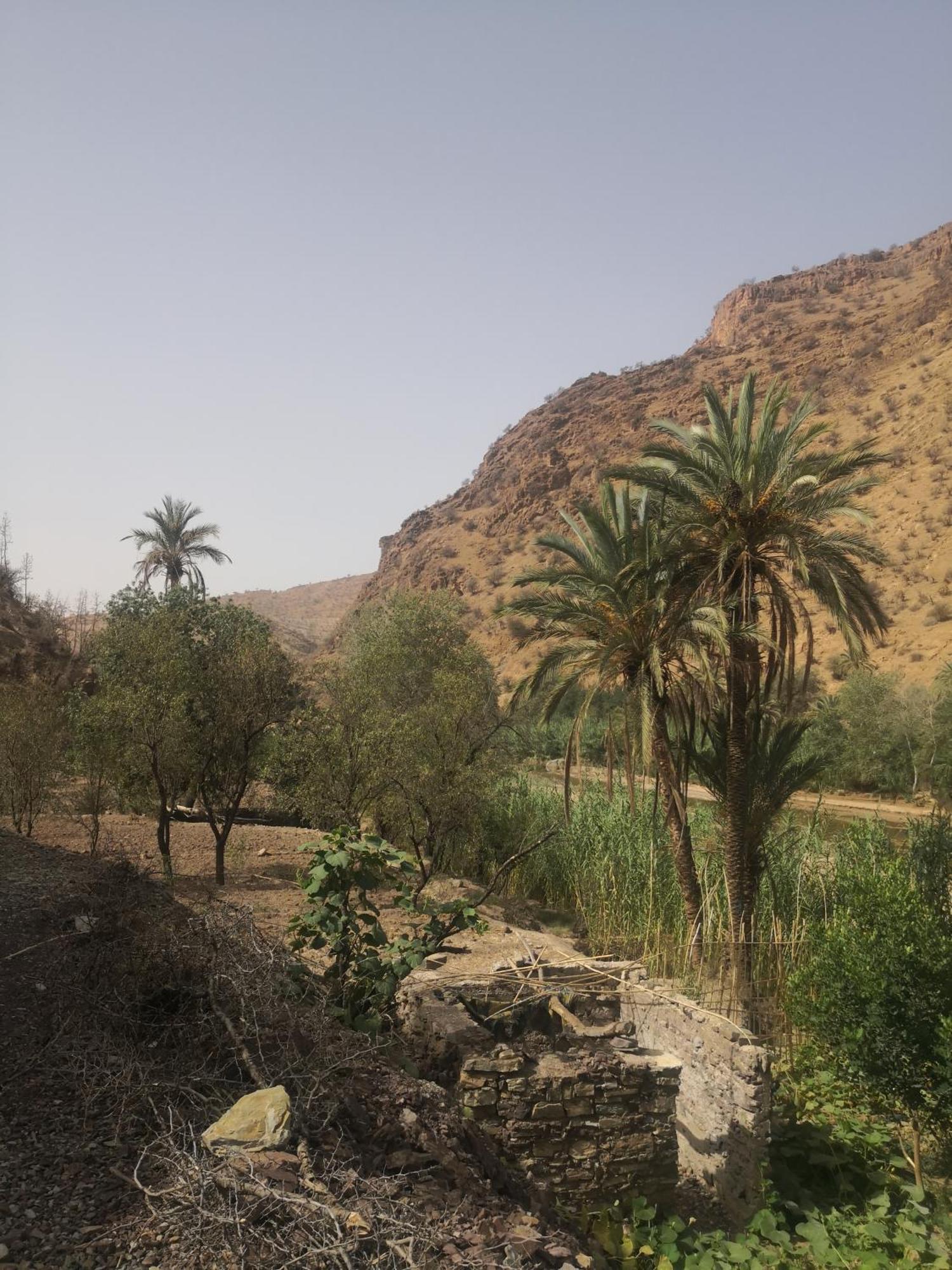 Auberge Kasbah Amoun タリオウイネ エクステリア 写真